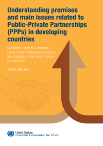 Understanding promises and main issues related to Public-Private Partnerships (PPPs) in developing countries