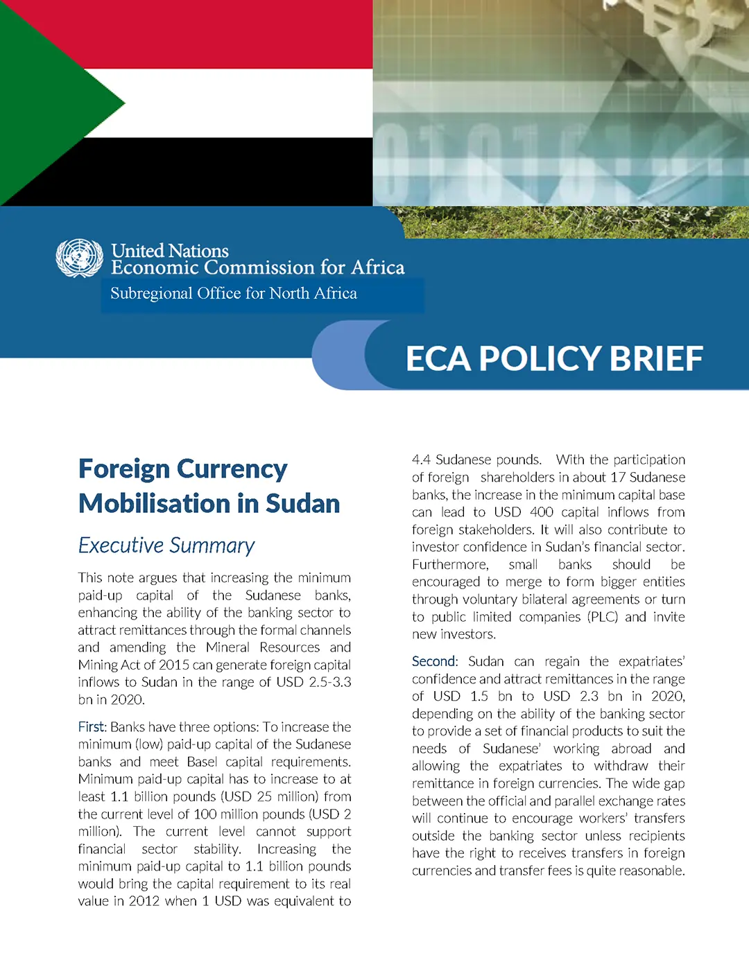 Foreign Currency Mobilisation in Sudan