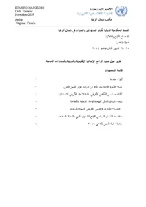 Report on Regional and International Development Agendas and Special Initiatives Implementation Review (Arabic)